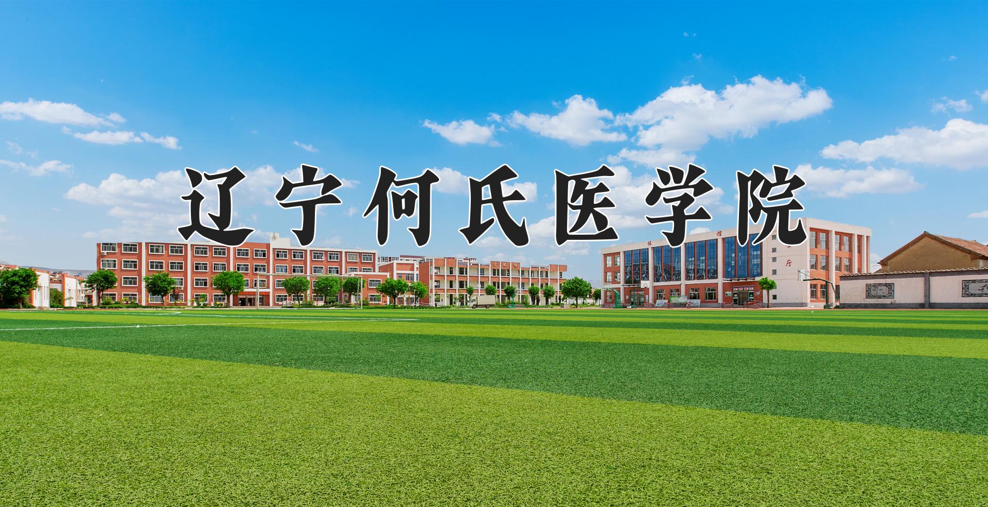 辽宁何氏医学院