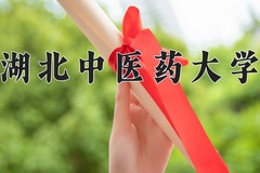 2024湖北中医药大学录取分数线：河北最低502分
