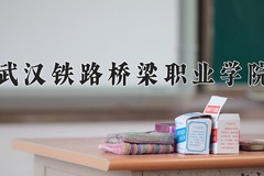 2024武汉铁路桥梁职业学院录取分数线：河北最低381分