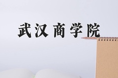 2024武汉商学院录取分数线：河北最低422分