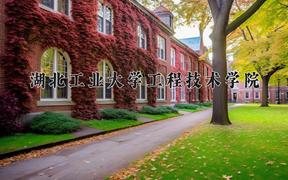 2024湖北工业大学工程技术学院录取分数线：河北最低474分