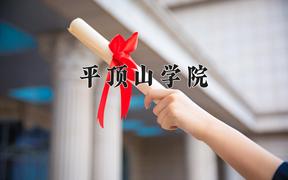 2024平顶山学院录取分数线：河北最低484分