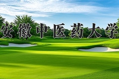 2024安徽中医药大学录取分数线：河北最低529分