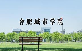 2024合肥城市学院录取分数线：河北最低457分