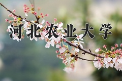 2024河北农业大学录取分数线：河北最低504分
