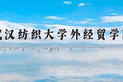 2024武汉纺织大学外经贸学院录取分数线：河北最低329分