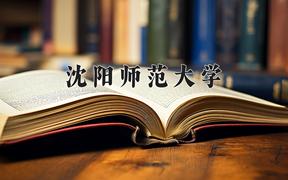 2024沈阳师范大学录取分数线：河北最低503分