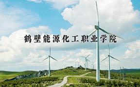 2024鹤壁能源化工职业学院录取分数线：河北最低357分