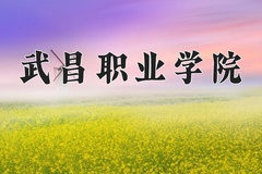 2024武昌职业学院录取分数线：河北最低267分