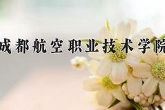 2024成都航空职业技术学院录取分数线：河北最低451分