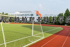 2024武汉船舶职业技术学院录取分数线：河北最低390分