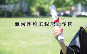 2024潍坊环境工程职业学院录取分数线：河北最低313分