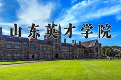 2024山东英才学院录取分数线：河北最低264分