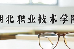 2024湖北职业技术学院录取分数线：河北最低407分