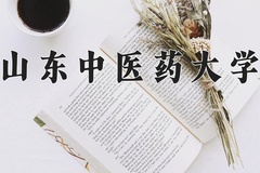 2024山东中医药大学录取分数线：河北最低533分