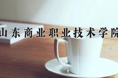 2024山东商业职业技术学院录取分数线：河北最低417分