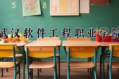 2024武汉软件工程职业学院录取分数线：河北最低412分