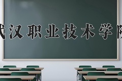 2024武汉职业技术学院录取分数线：河北最低434分