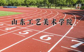 2024山东工艺美术学院录取分数线：河北最低492分