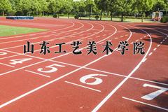 2024山东工艺美术学院录取分数线：河北最低492分