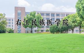 2024右江民族医学院录取分数线：河北最低489分