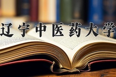 2024辽宁中医药大学录取分数线：河北最低510分