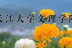 2024长江大学文理学院录取分数线：河北最低342分