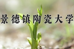 2024景德镇陶瓷大学录取分数线：河北最低518分