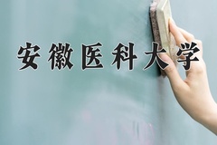 2024安徽医科大学录取分数线：河北最低532分