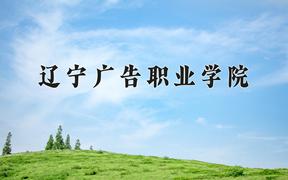 2024辽宁广告职业学院录取分数线：河北最低277分