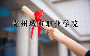 2024贵州城市职业学院录取分数线：河北最低254分