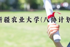 2024新疆农业大学(八协计划)录取分数线：河北最低347分