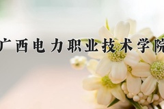 2024广西电力职业技术学院录取分数线：河北最低399分