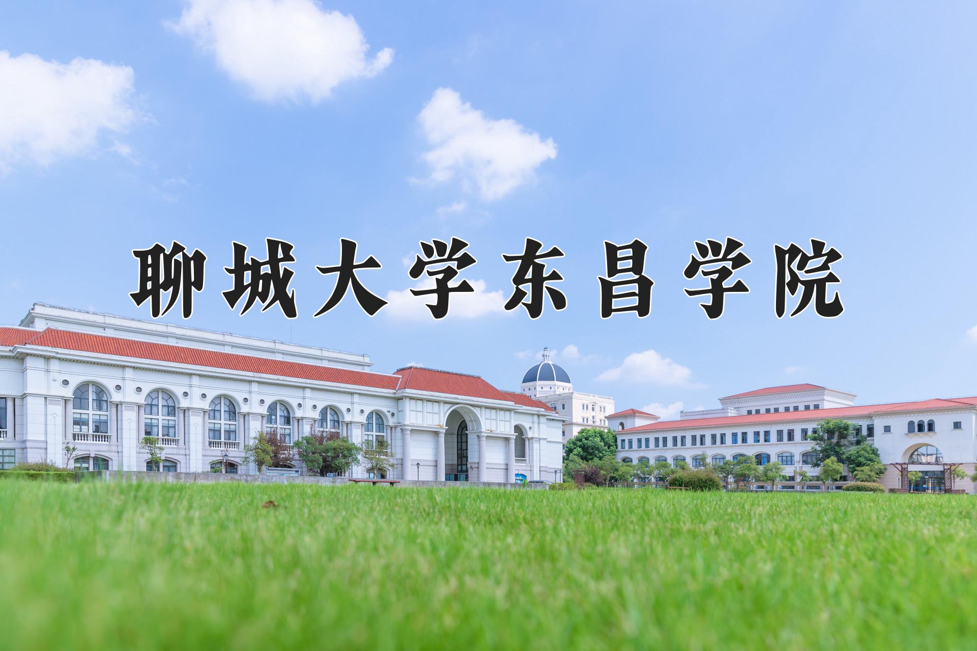 聊城大学东昌学院