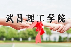 2024武昌理工学院录取分数线：河北最低299分