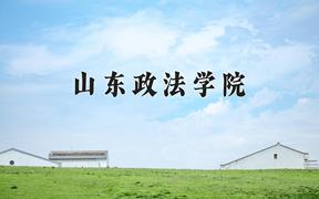 2024山东政法学院录取分数线：河北最低507分