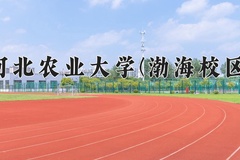 2024河北农业大学(渤海校区)录取分数线：河北最低510分