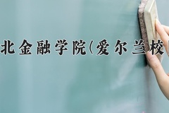 2024河北金融学院(爱尔兰校区)录取分数线：河北最低450分
