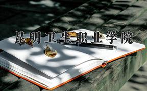 2024昆明卫生职业学院录取分数线：河北最低298分