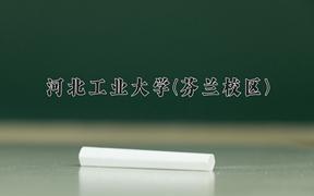 2024河北工业大学(芬兰校区)录取分数线：河北最低546分