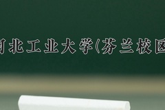 2024河北工业大学(芬兰校区)录取分数线：河北最低546分