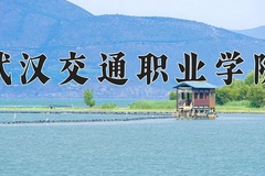 2024武汉交通职业学院录取分数线：河北最低400分