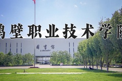 2024鹤壁职业技术学院录取分数线：河北最低332分