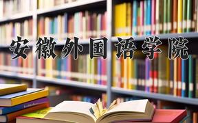 2024安徽外国语学院录取分数线：河北最低453分