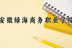 2024安徽绿海商务职业学院录取分数线：河北最低276分