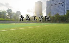 2024青岛工学院录取分数线：河北最低464分