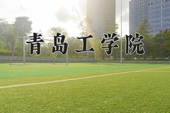 2024青岛工学院录取分数线：河北最低464分