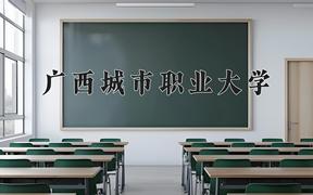 2024广西城市职业大学录取分数线：河北最低448分