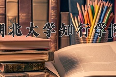 2024湖北大学知行学院录取分数线：河北最低478分