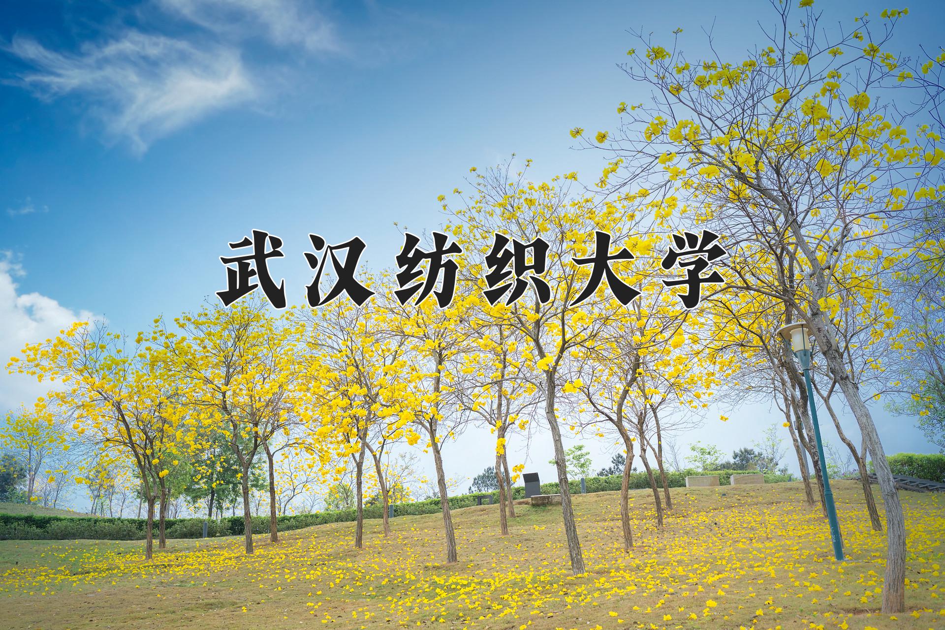 武汉纺织大学